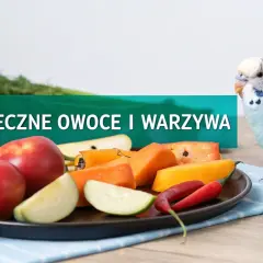 Papuga falista przygląda się talerzowi z jabłkami, marchewką i papryczką. To dowód na to, co jedzą papugi faliste - zdrowe owoce i warzywa.