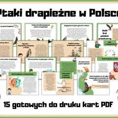 Ptaki drapieżne w Polsce: od sokoła wędrownego po bielika. Poznaj ich cechy, siedliska i rolę w ekosystemie.