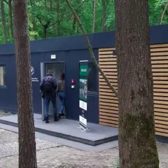 Gałęzie z lasu dla ptaków: Jak bezpiecznie przygotować do woliery?