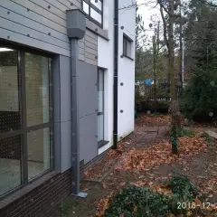 Stop kolizjom! Ochrona okien przed ptakami poradnik eksperta