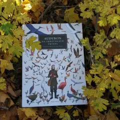 Okładka książki "Audubon na skrzydłach świata" wśród jesiennych liści.