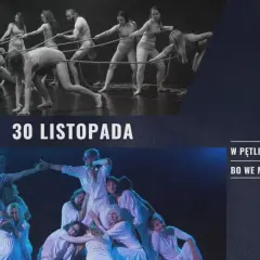 Tokowanie wróbli: sekrety zalotów, tańca i śpiewu zobacz to!