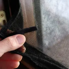 Jak zabezpieczyć okno dla kanarka? Sprawdzone metody i DIY
