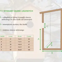 Wymiary budki lęgowej dla sikorki bogatki: Klucz do udanego lęgu
