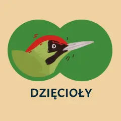 Ilustracja zielonego dzięcioła z czerwonym czubkiem, widocznego przez zielone kółka.