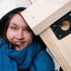Jak zbudować idealną budkę lęgową dla nimfy? Wymiary i porady