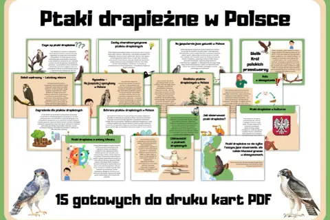 Ptaki drapieżne w Polsce: od sokoła wędrownego po bielika. Poznaj ich cechy, siedliska i rolę w ekosystemie.