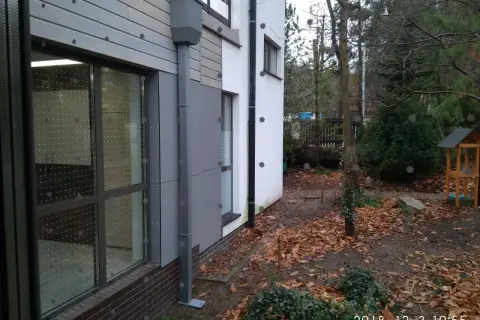Stop kolizjom! Ochrona okien przed ptakami poradnik eksperta