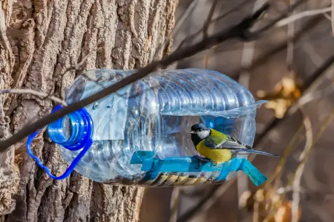 Jak zrobić karmnik dla wróbli? Prosty DIY z butelki PET!