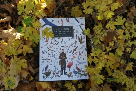 Okładka książki "Audubon na skrzydłach świata" wśród jesiennych liści.
