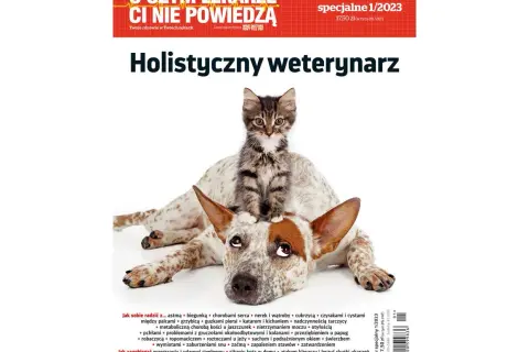 Zdrowe kiełki dla papug: Instrukcja krok po kroku + Sekrety