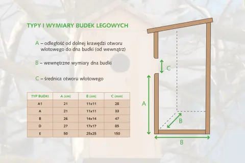 Wymiary budki lęgowej dla sikorki bogatki: Klucz do udanego lęgu