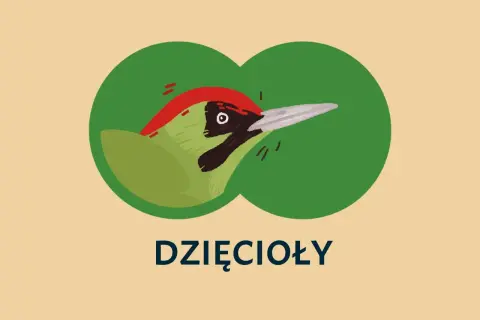Ilustracja zielonego dzięcioła z czerwonym czubkiem, widocznego przez zielone kółka.