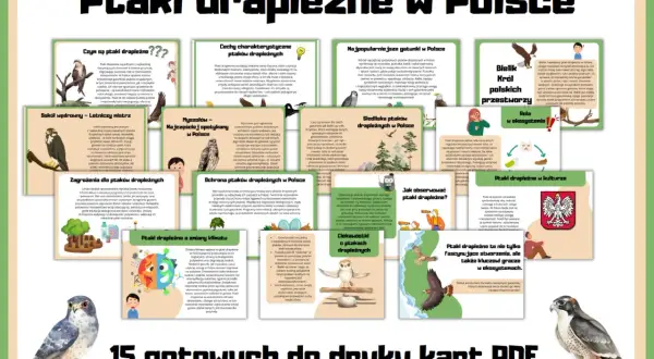 Ptaki drapieżne w Polsce: od sokoła wędrownego po bielika. Poznaj ich cechy, siedliska i rolę w ekosystemie.