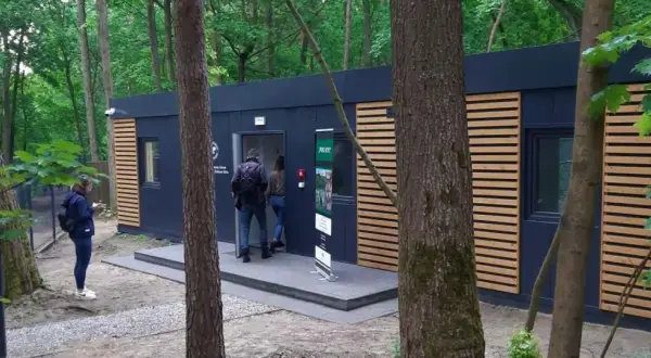 Gałęzie z lasu dla ptaków: Jak bezpiecznie przygotować do woliery?