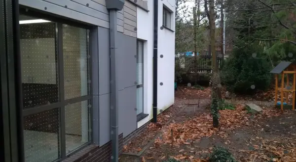Stop kolizjom! Ochrona okien przed ptakami poradnik eksperta