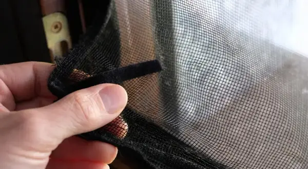 Jak zabezpieczyć okno dla kanarka? Sprawdzone metody i DIY
