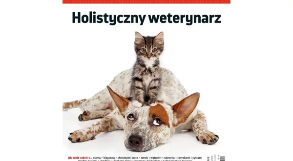 Zdrowe kiełki dla papug: Instrukcja krok po kroku + Sekrety