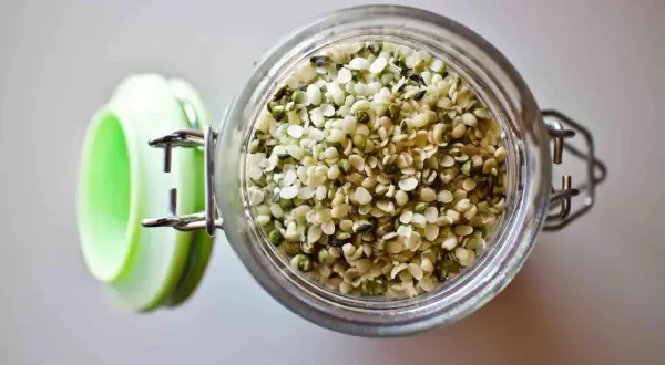 Nasiona konopi dla ptaków: Bezpieczne superfood na zdrowie i lęgi