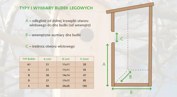 Wymiary budki lęgowej dla sikorki bogatki: Klucz do udanego lęgu