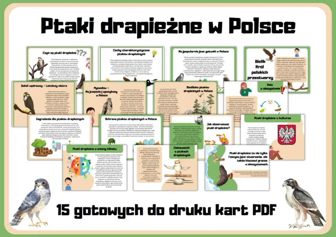 Ptaki drapieżne w Polsce: od sokoła wędrownego po bielika. Poznaj ich cechy, siedliska i rolę w ekosystemie.
