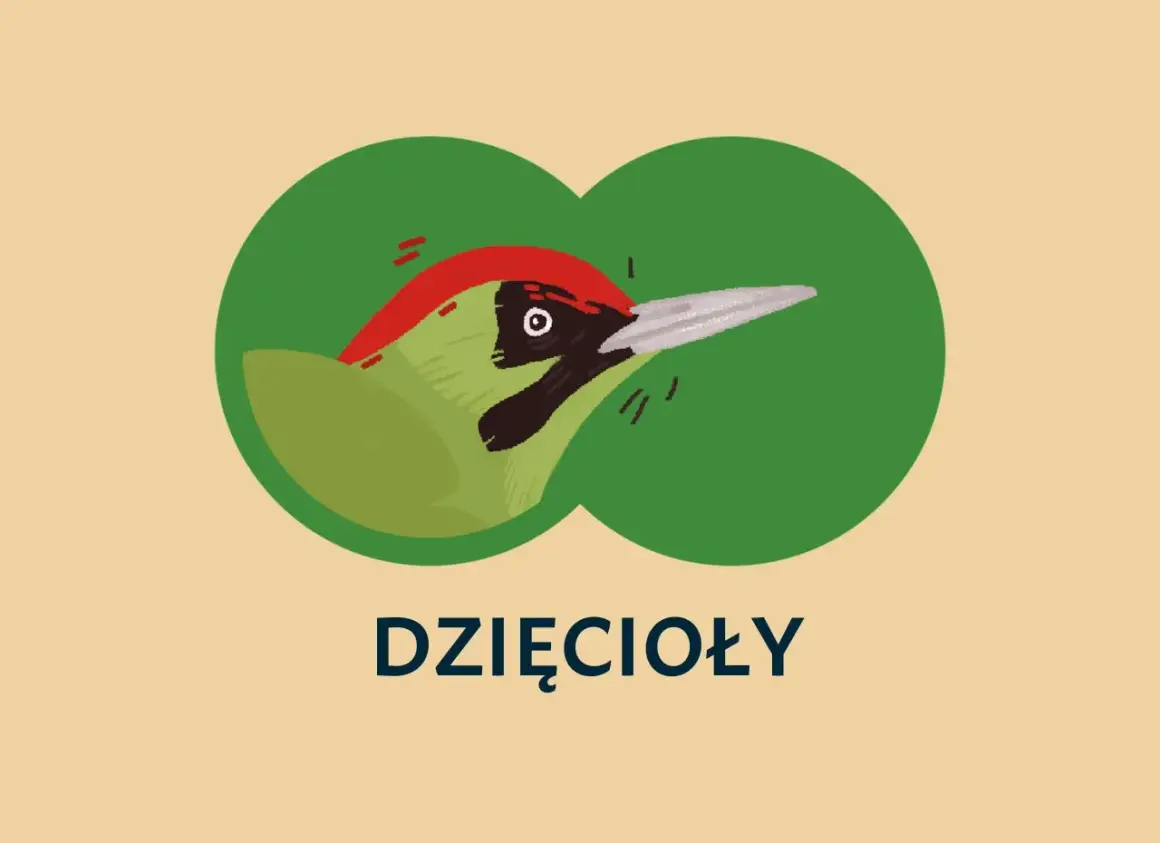 Ilustracja zielonego dzięcioła z czerwonym czubkiem, widocznego przez zielone kółka.