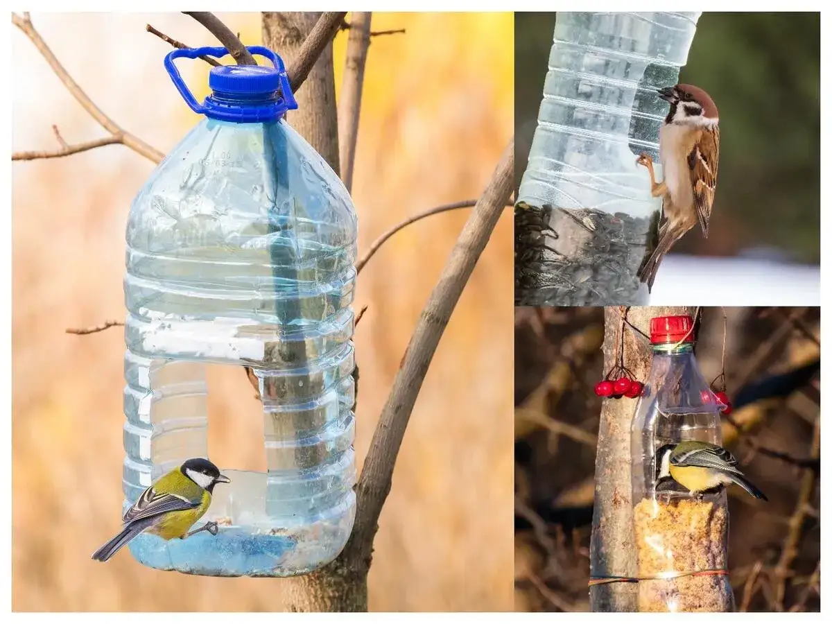proste karmniki dla wróbli z recyklingu