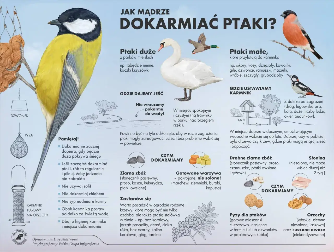 Ptaki jedzą płatki owsiane, ziarna zbóż, orzechy i inne przysmaki. Dowiedz się, jak mądrze dokarmiać ptaki zimą.