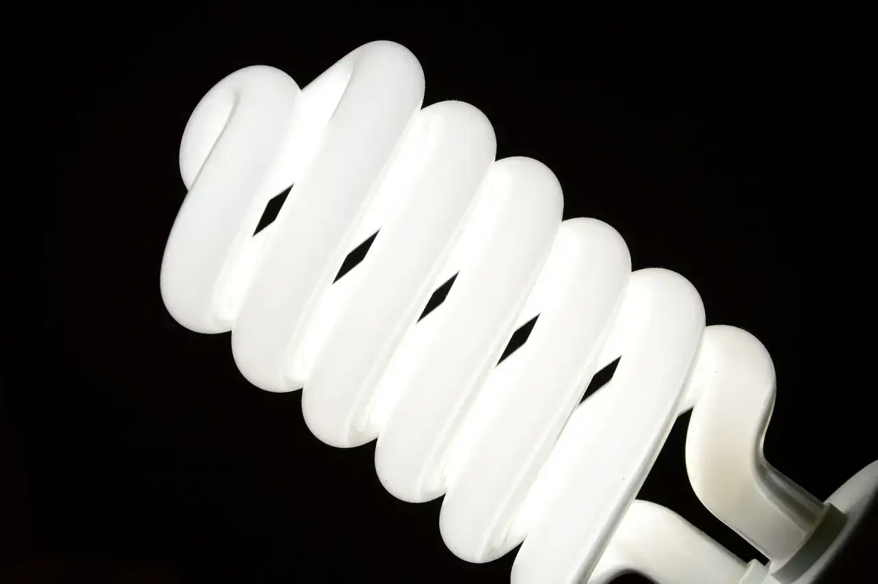 rodzaje lamp uvb dla ptak&oacute;w, świetl&oacute;wka t5 dla papug