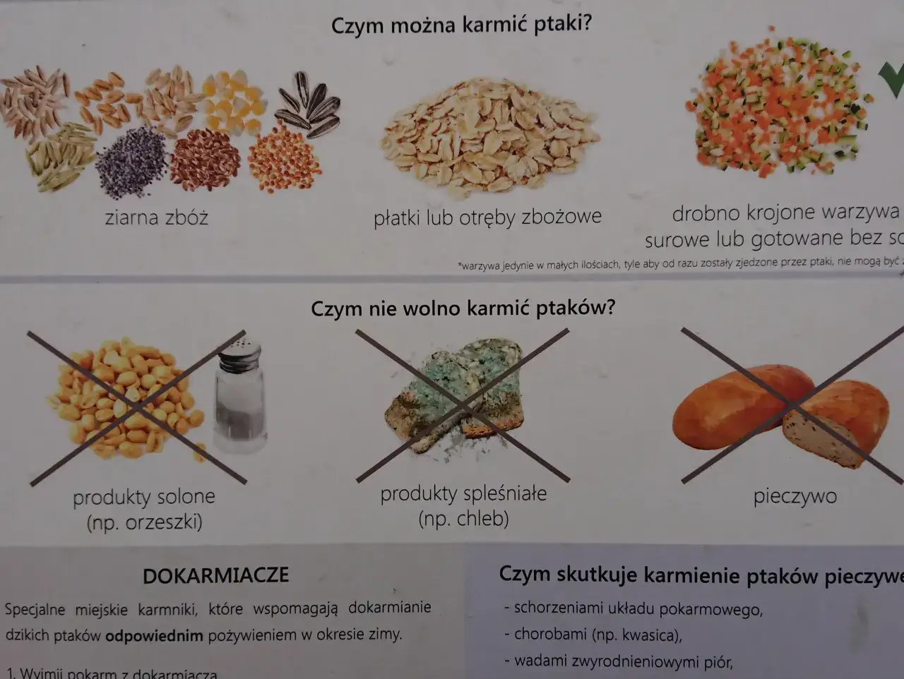nie karmić ptak&oacute;w chlebem