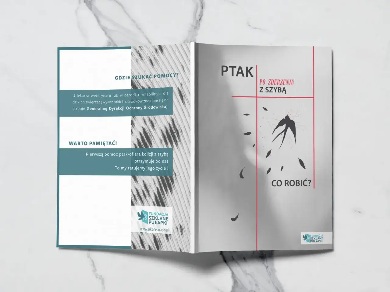 ptak owinięty w ręcznik pierwsza pomoc