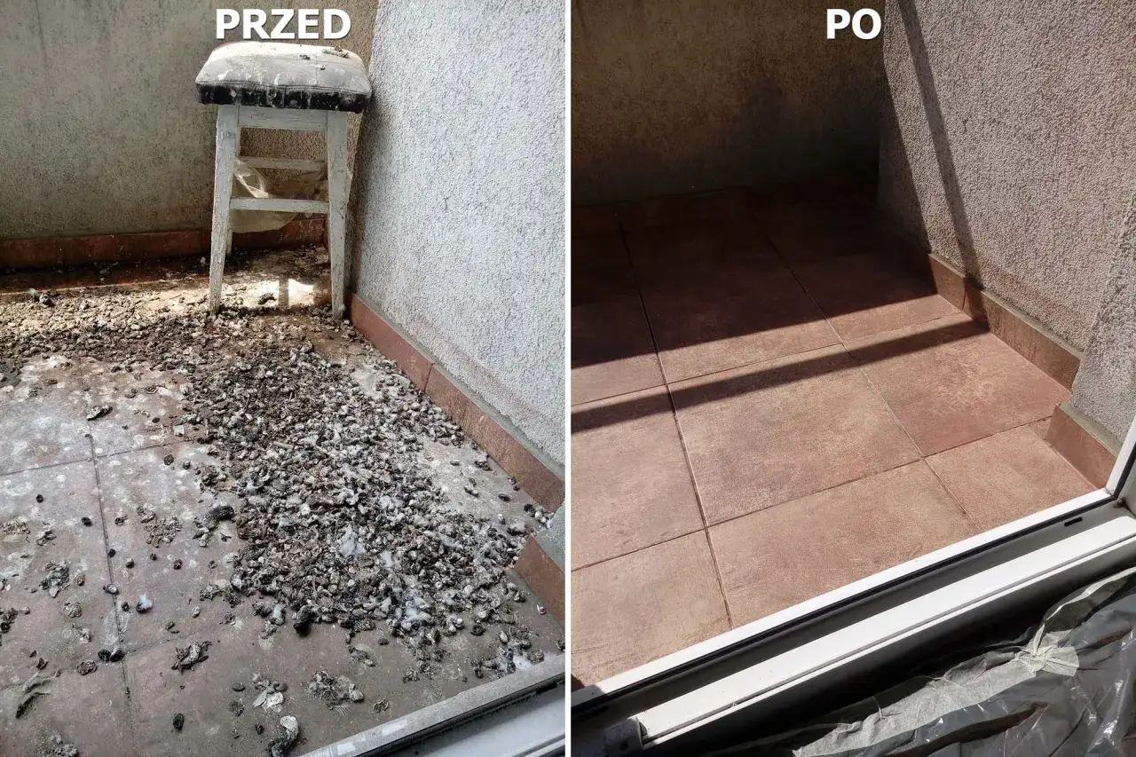 Przed: balkon zasypany odchodami gołębi. Po: czysty, wysprzątany balkon.