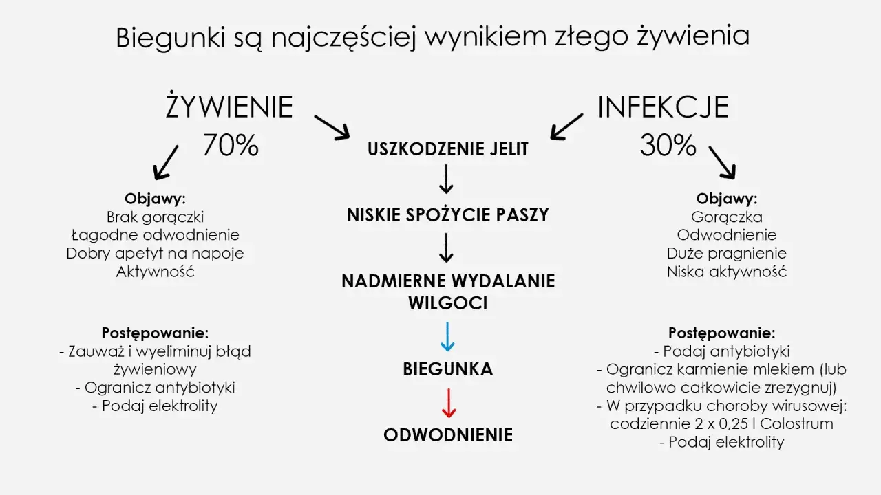 kanarek chory biegunka objawy