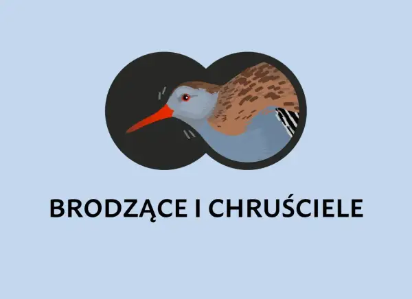 Ilustracja ptaka widzianego przez lornetkę.