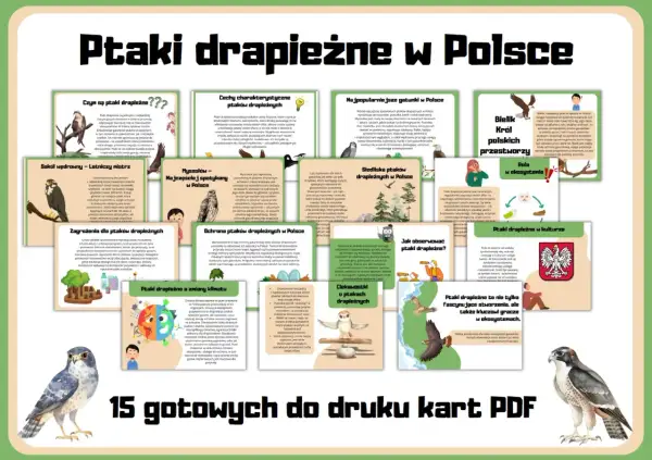 Ptaki drapieżne w Polsce: od sokoła wędrownego po bielika. Poznaj ich cechy, siedliska i rolę w ekosystemie.