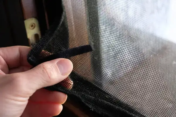 Jak zabezpieczyć okno dla kanarka? Sprawdzone metody i DIY