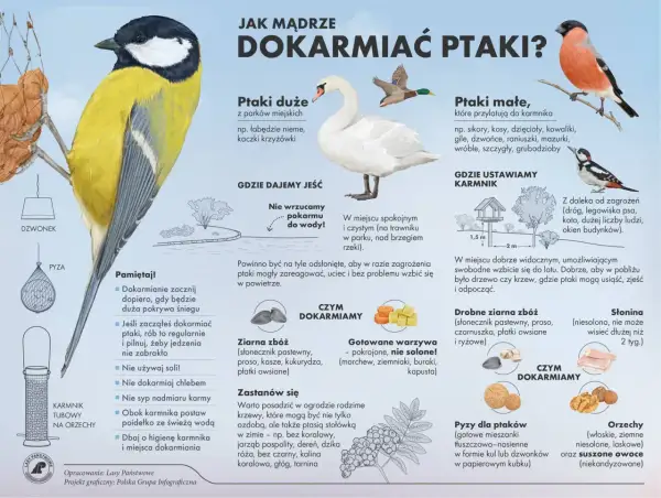 Czy ptaki jedzą ostropest? Superżywność dla zdrowia i energii!